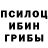 Галлюциногенные грибы Cubensis Garner Bright