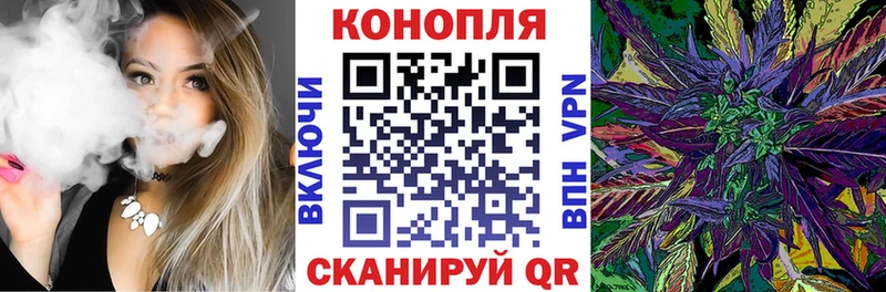 Бошки Шишки Amnesia  Пойковский 
